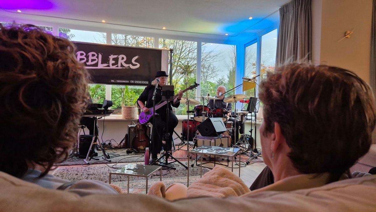 Van klassiek tot metal: Huiskamerfestival Zuidwolde serveert muzikaal buffet