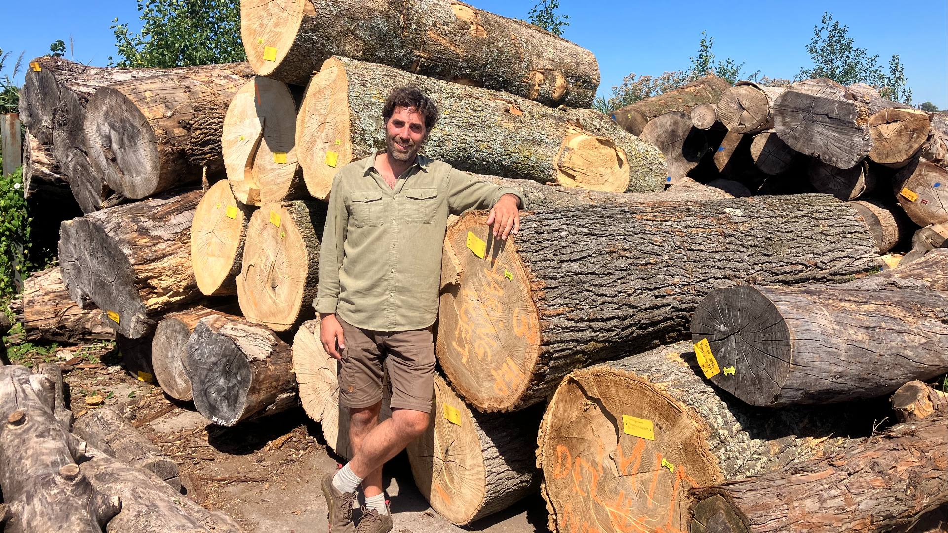 Teun werkt met Hoeksch Hout alleen met bomen die lokaal gekapt worden