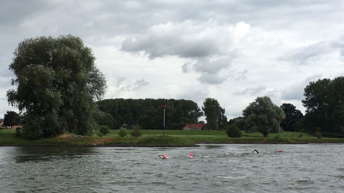Het duurde bijna 60 jaar, maar de zwemtocht in de IJssel is weer terug. De organisatie van De Vrije Slag Door Zutphen (DVSDZ) organiseerde deze zondag de klassieker Cortenoever-Zutphen, en dat voor het eerst sinds 1959.
