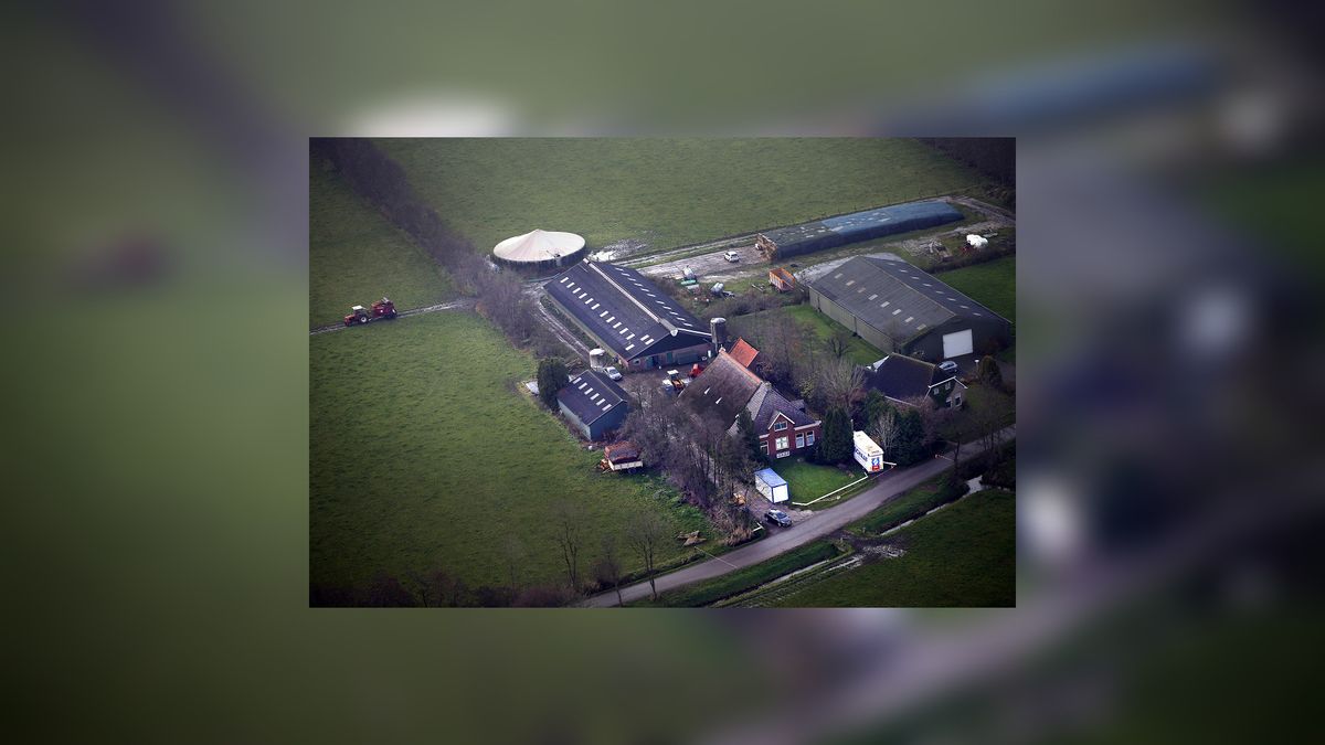 Gezin Jasper S. weer terug