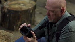 Fotoproject Paradijsvogels komende zomer te zien