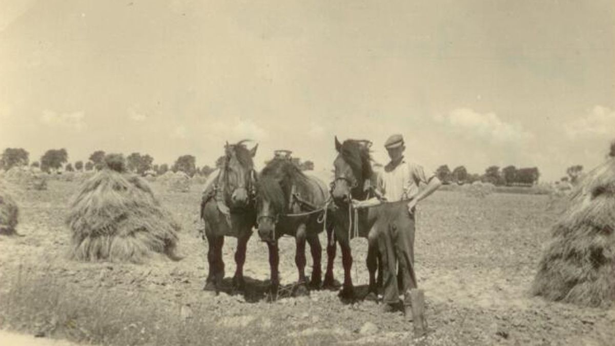 Arjaan werkte het liefst voor de Duitsers: ‘Hoe minder je deed, hoe beter het was’