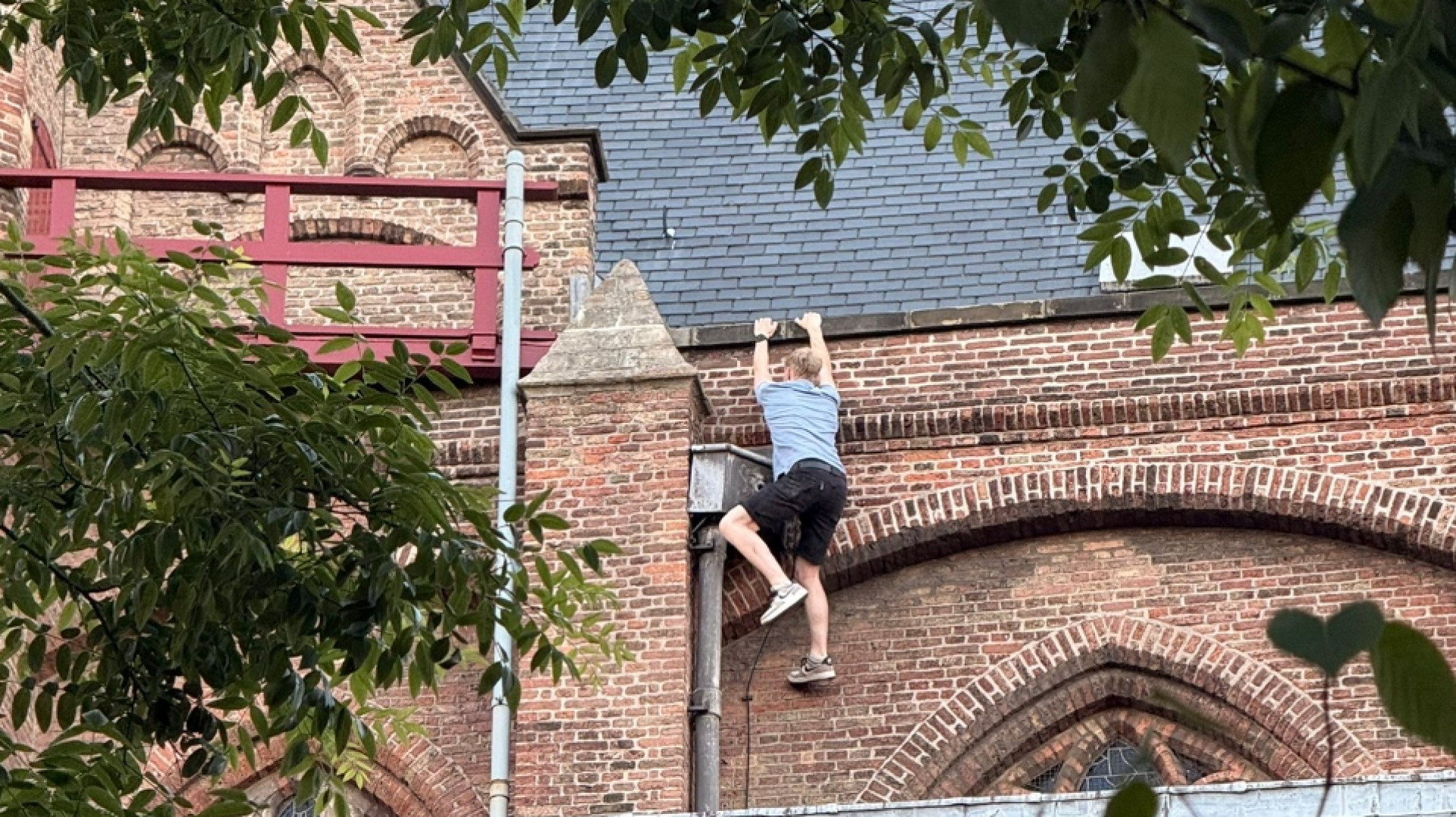 Nieuws