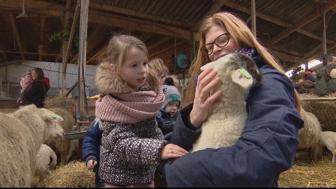 Lammetjesdag: blije kinderen en lammetjes in de stress