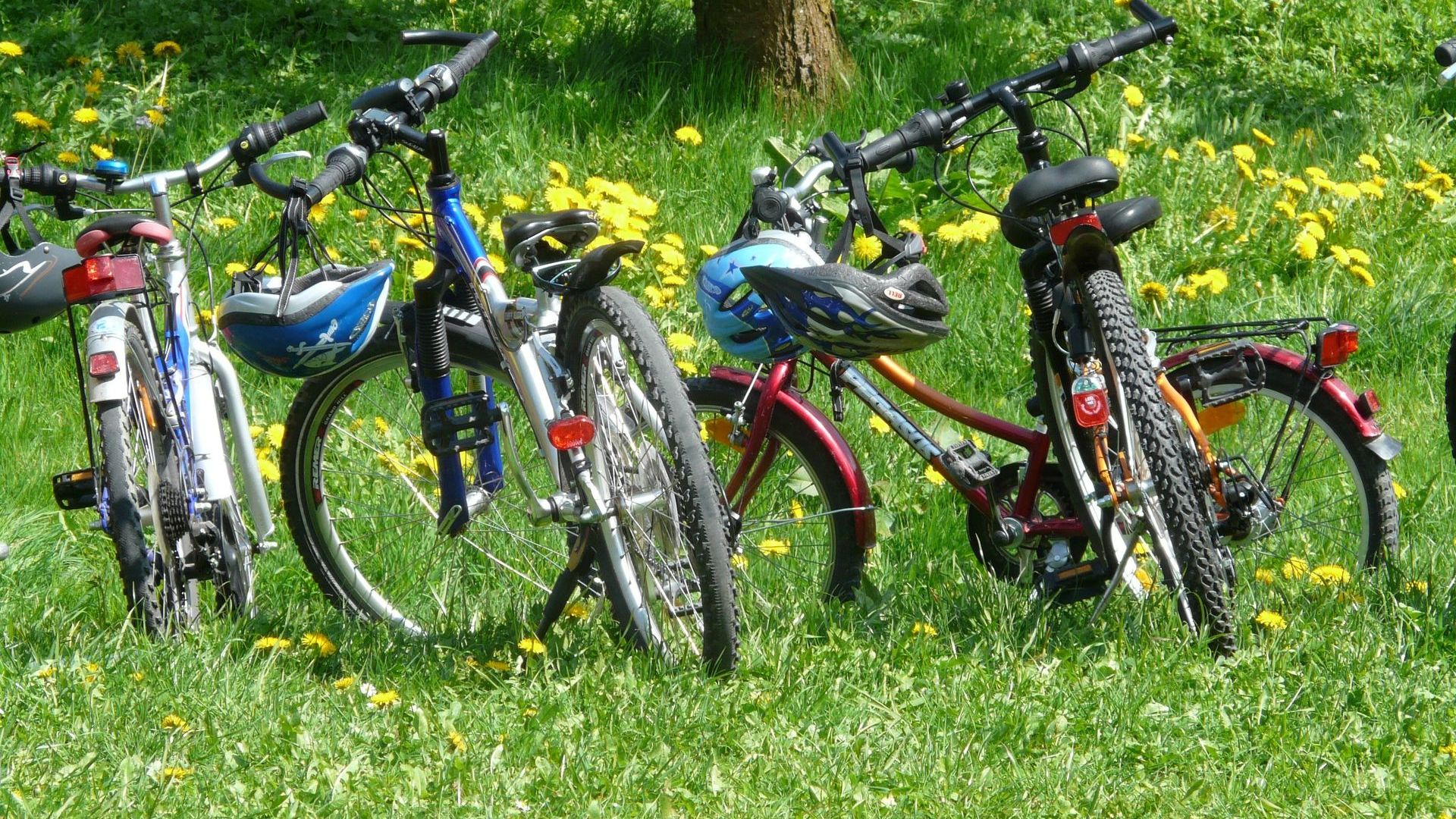 Boerderijenfietstocht in Neede. Lekker fietsen, kijken én proeven op het platteland.