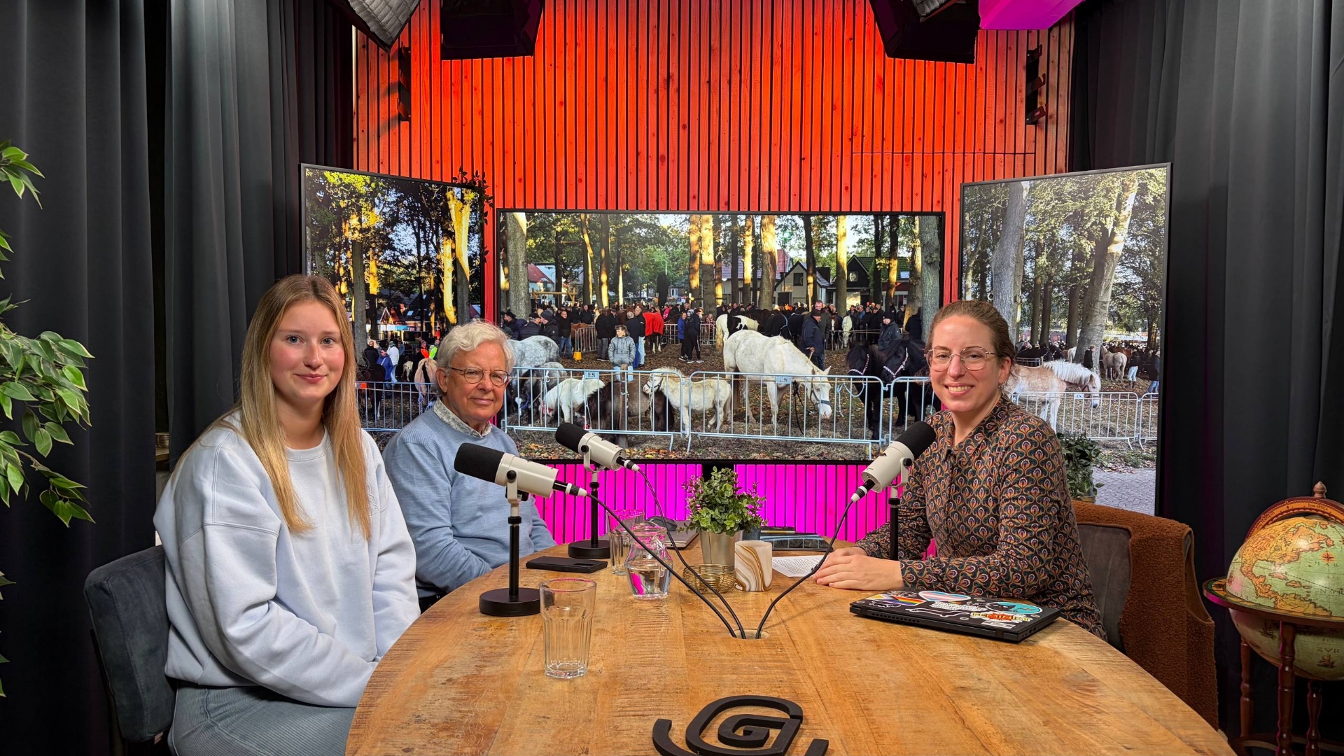 Eeuwenoude traditie, handel en sfeer: beluister de podcast over de geschiedenis van de Zuidlaardermarkt