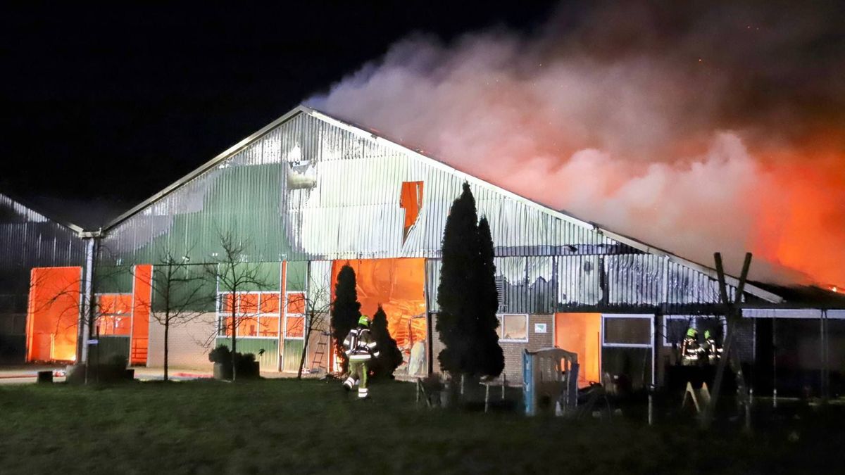 Vlammenzee in stal, dertig dieren overleden