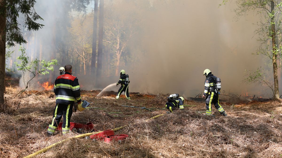 Brandweer rukt uit voor natuurbrand bij Oranjewoud