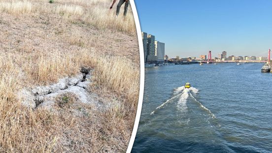 Hier is de grootste droogte van het land: ‘Kijken of we gezuiverd rioolwater kunnen gebruiken’