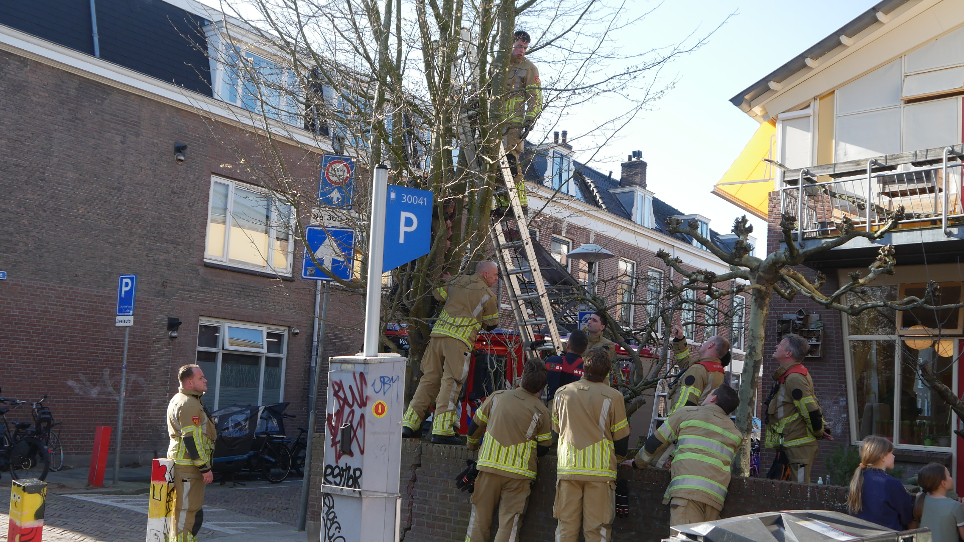 Brandweer bevrijdt kind uit boom in Utrecht