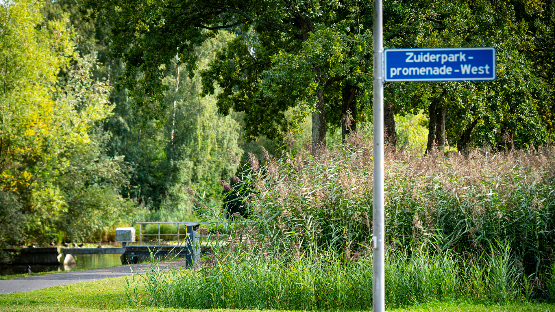 Het Zuiderpark in Rotterdam.