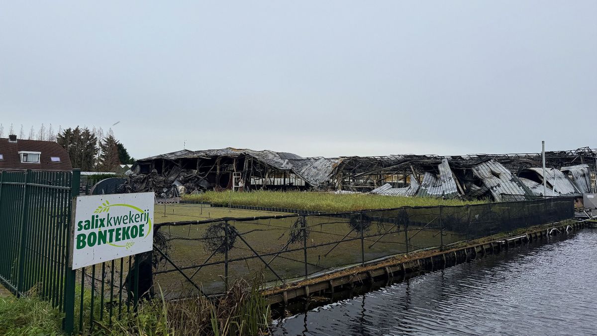 Eigenaar uitgebrande kwekerij wil over een paar weken weer in productie zijn: 'Ik ben optimistisch'