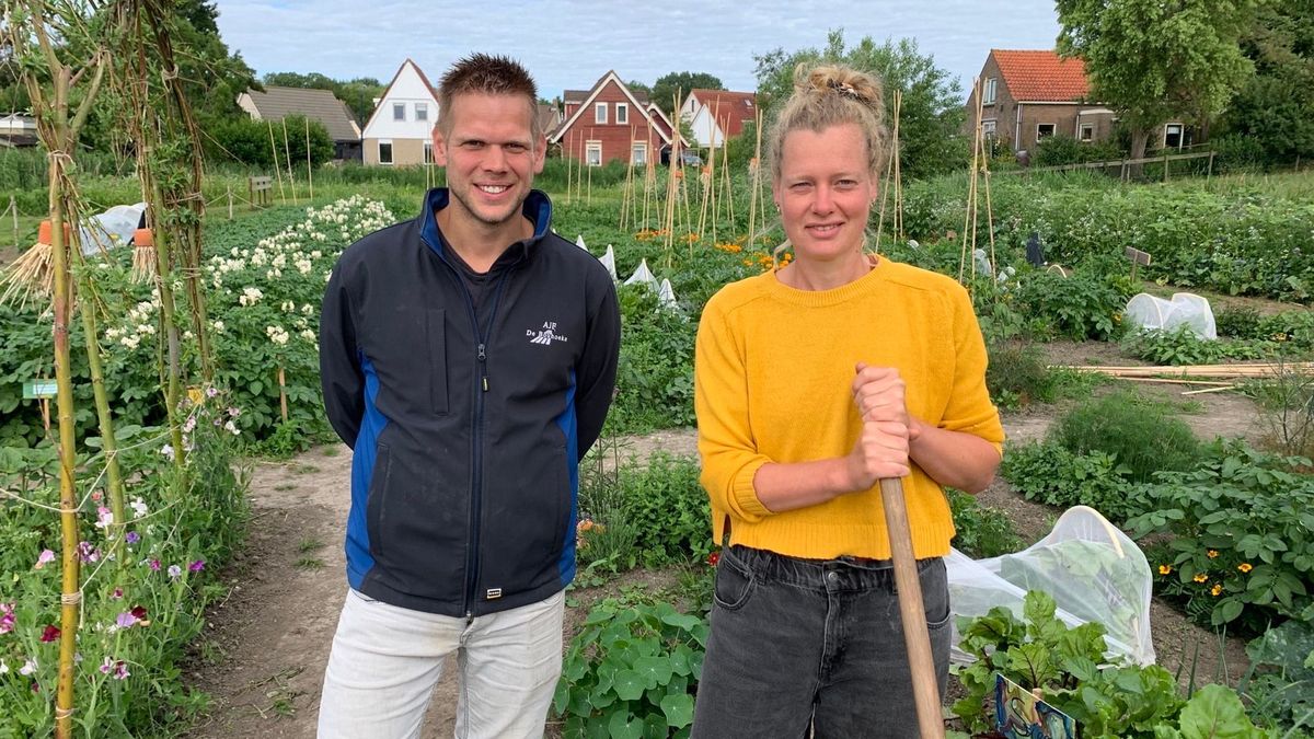 Schooltuin van 7.500 vierkante meter in Wijnaldum moet 