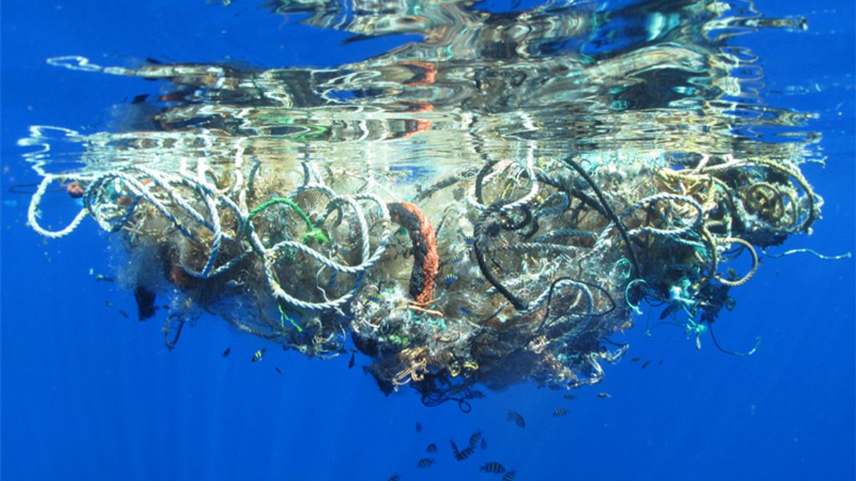 Hoe komt ons plastic afval in de zee terecht? - Rijnmond