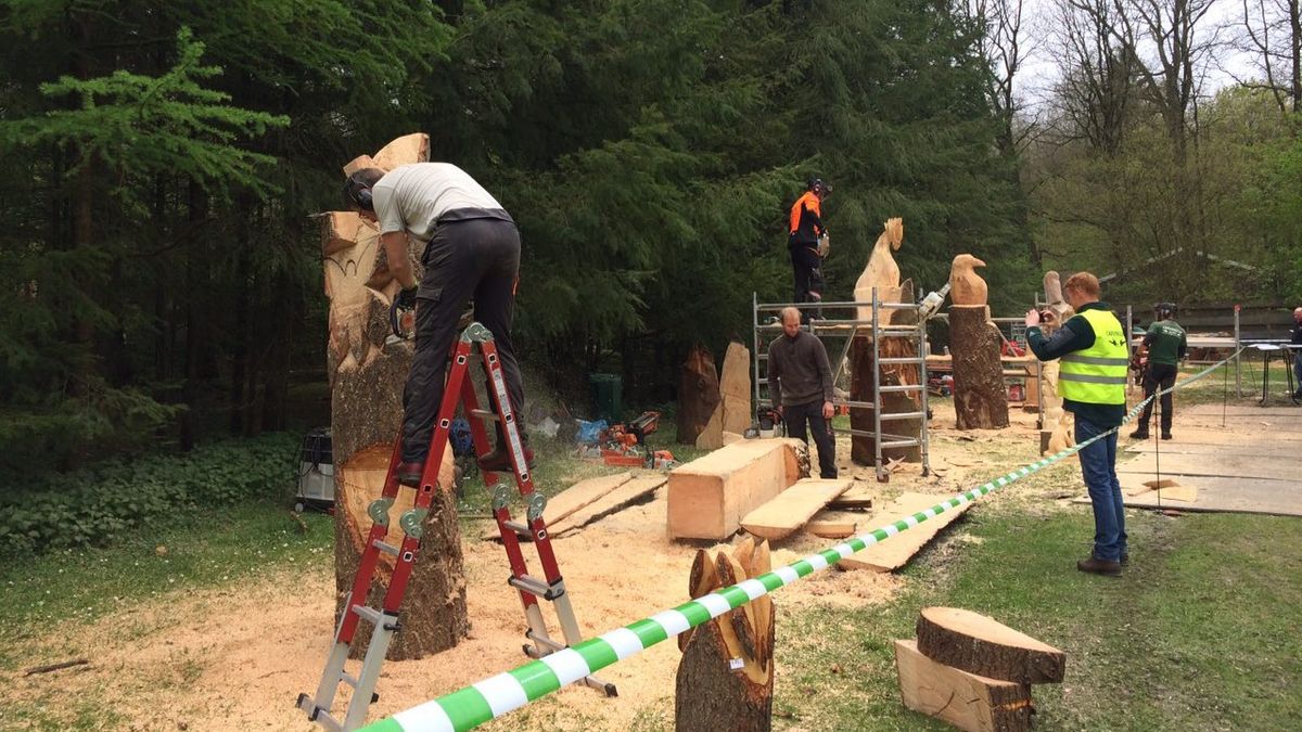 Wat is er dit weekend te doen in Drenthe? - RTV Drenthe