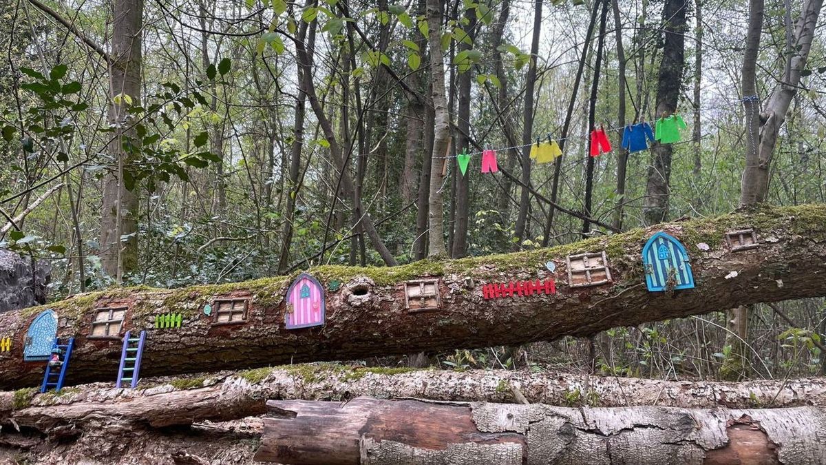 Kabouterpad Emmen vernield: 'Van begin tot eind dingen weggehaald'