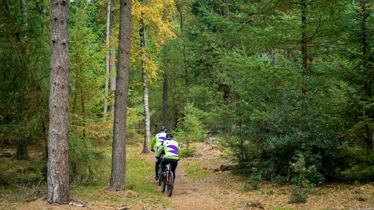 'Dit kan niet kloppen': Gemeentebelangen Hoogeveen boos om subsidie voor mountainbikers uit De Wolde