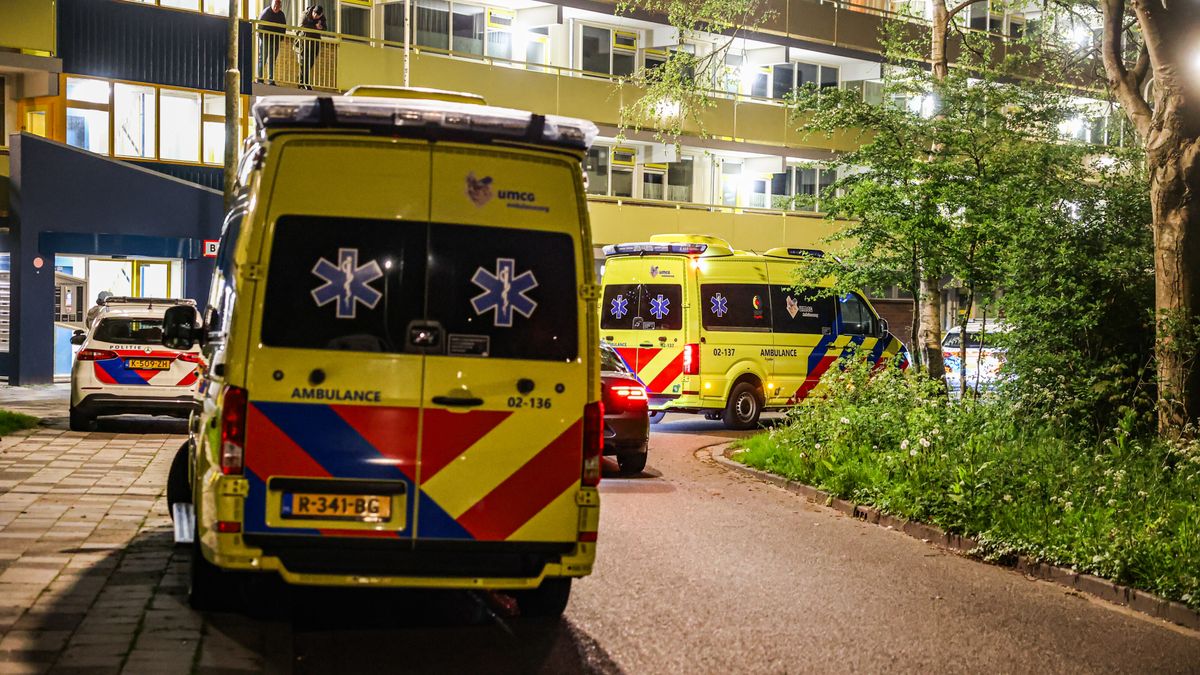 Verdachte dodelijke steekpartij Sneek moet naar Pieter Baan Centrum: 