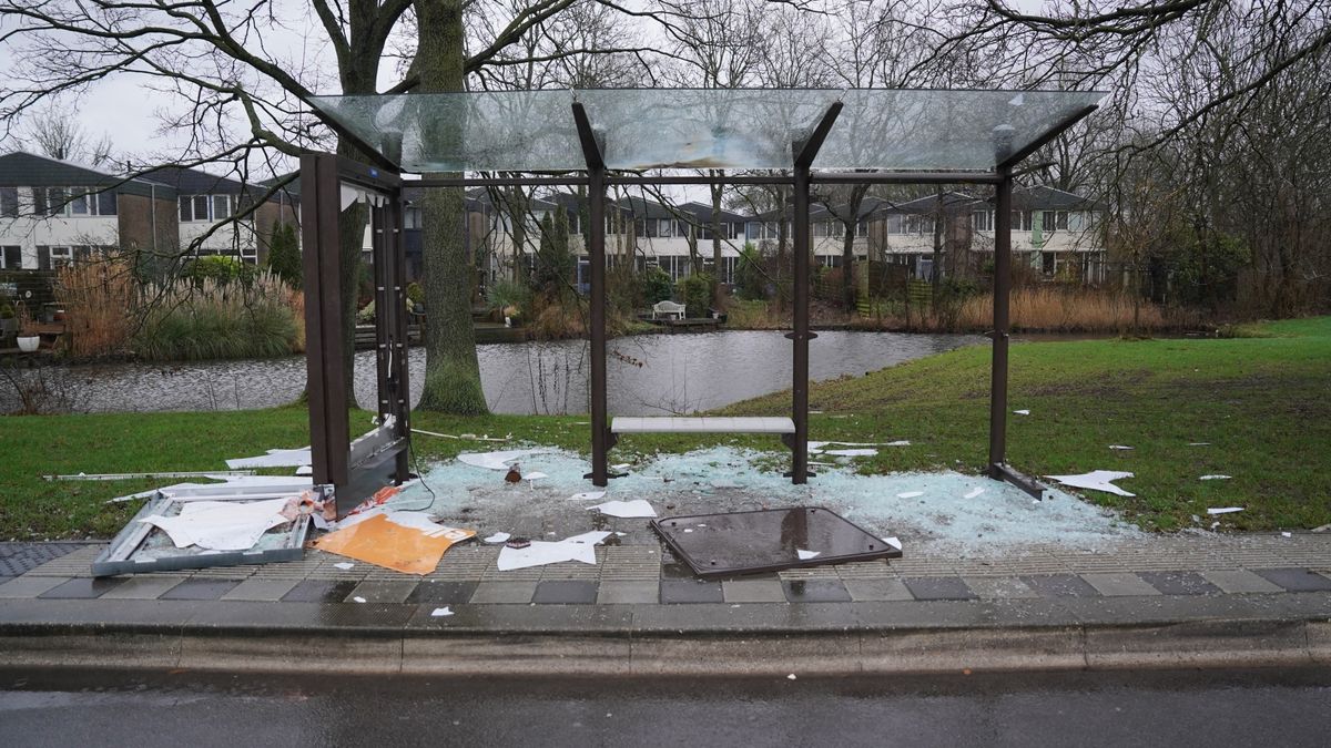 112-nieuws woensdag 1 januari: Vernielingen Hoogkerk, boom waait op N33 en gewonde steekincident Hoo