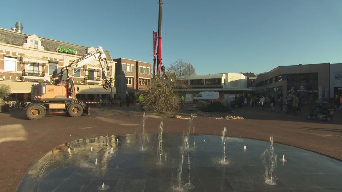 de boom staat bijna op zijn plek