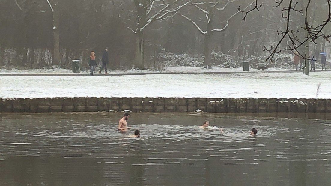 Zwemmen in een winterse Hoornse Plas