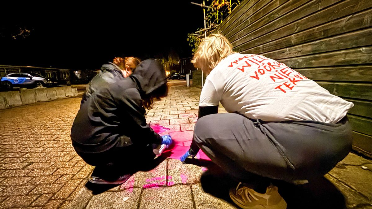 ‘Stem voor de vrouw’: feministen voeren roze actie bij Zeeuwse stembureaus