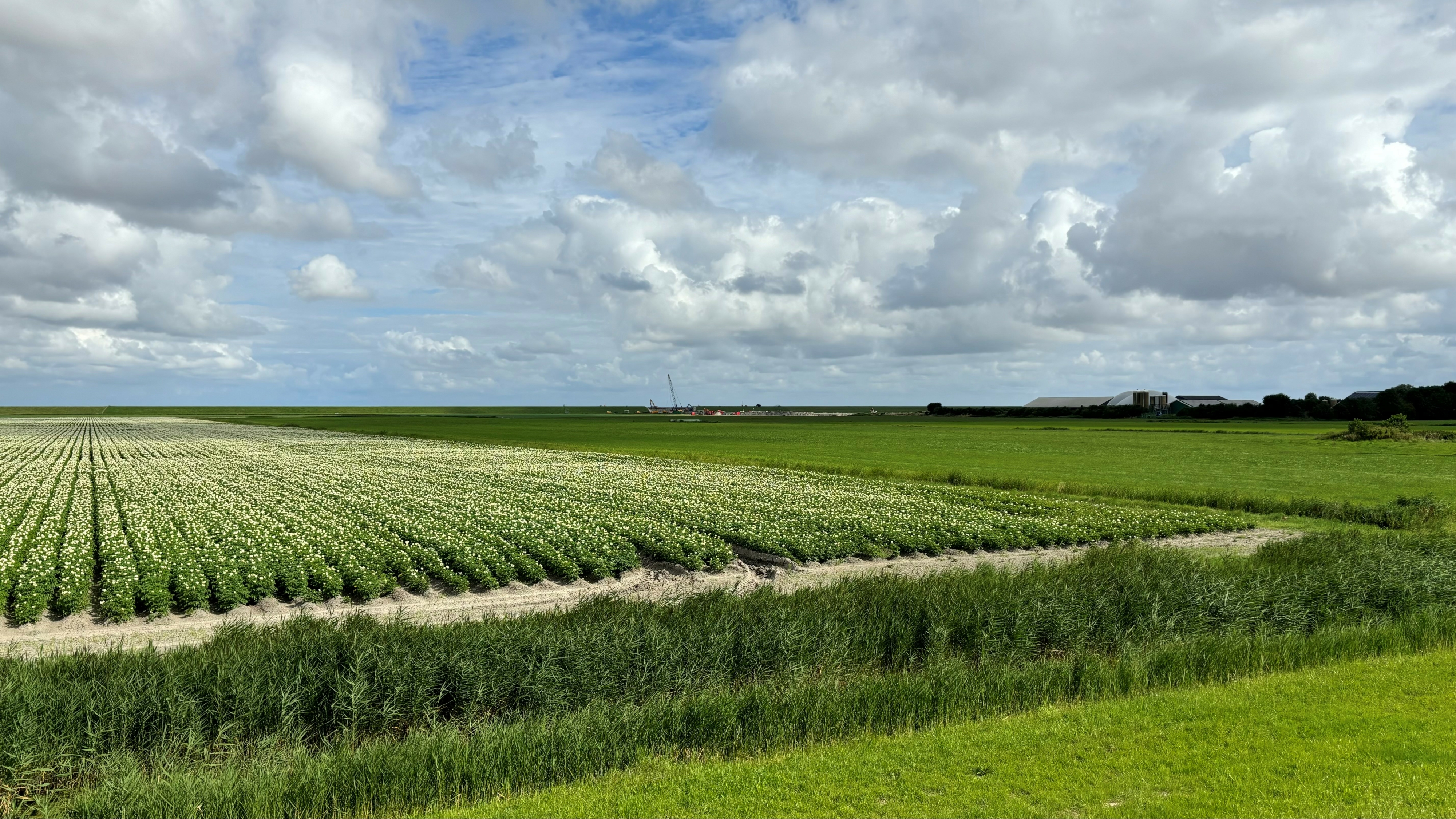 Akkebouw in Friesland