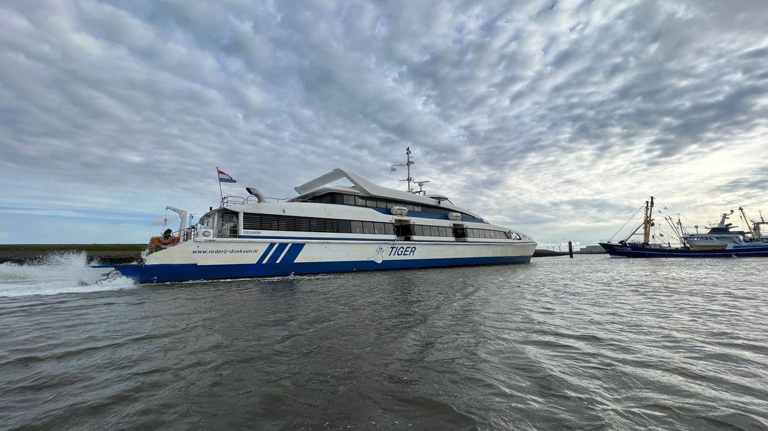 Boat Tiger fan Doeksen kin net oanlizze yn Harns