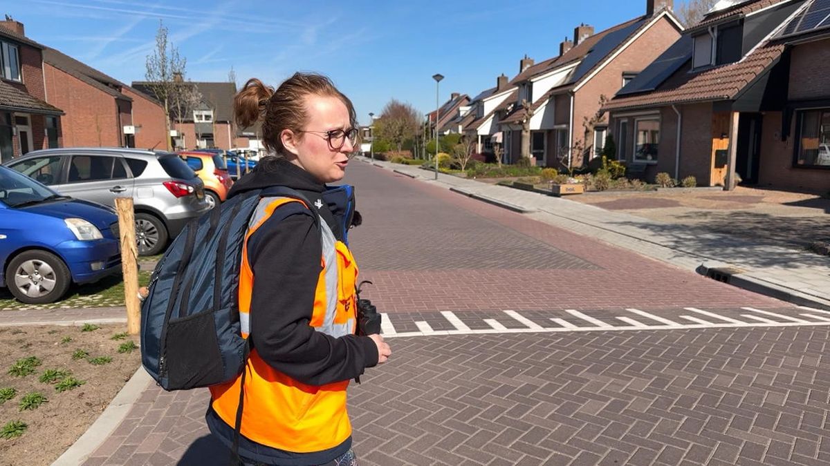 Ecoloog Emma telt vogels: waar leeft de huismus in Peel en Maas?