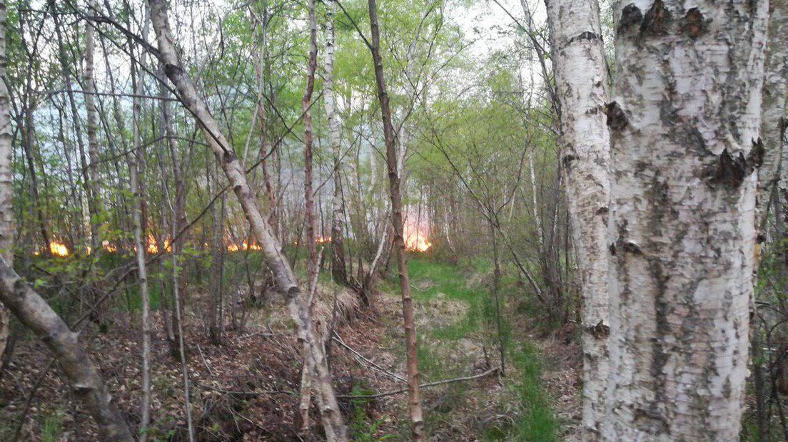 In een natuurgebied bij Dalerpeel brak brand uit (Rechten: Van Oost Media)
