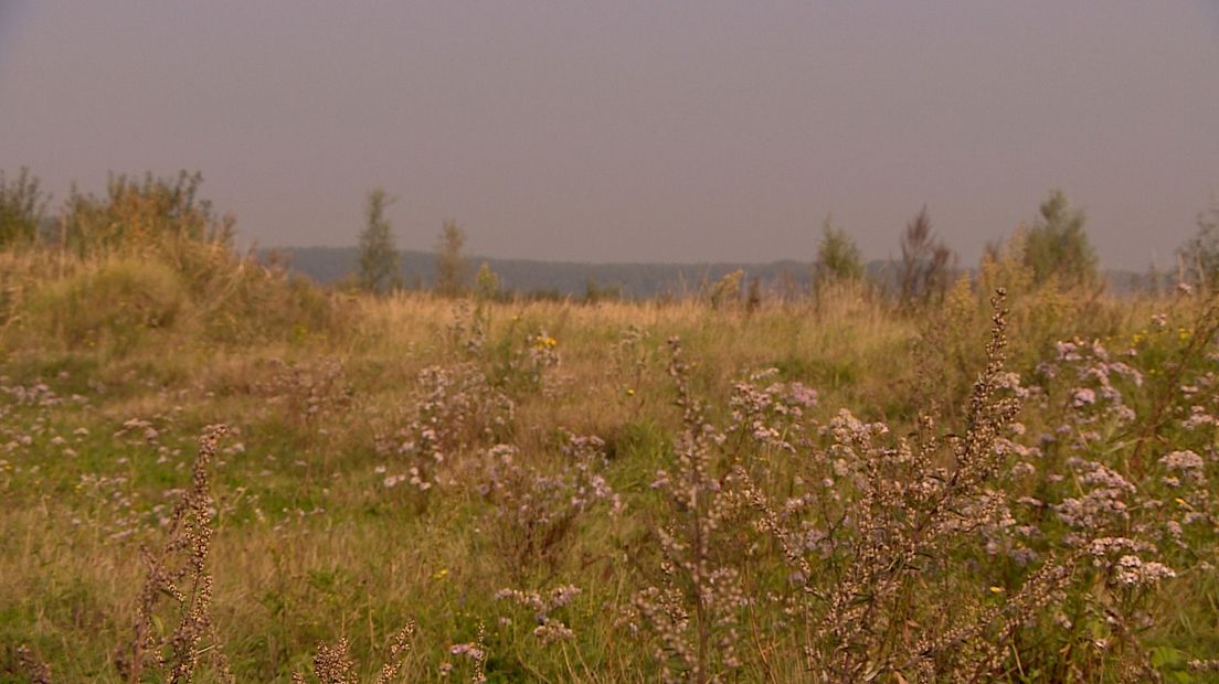 De Prosperpolder wacht geduldig...