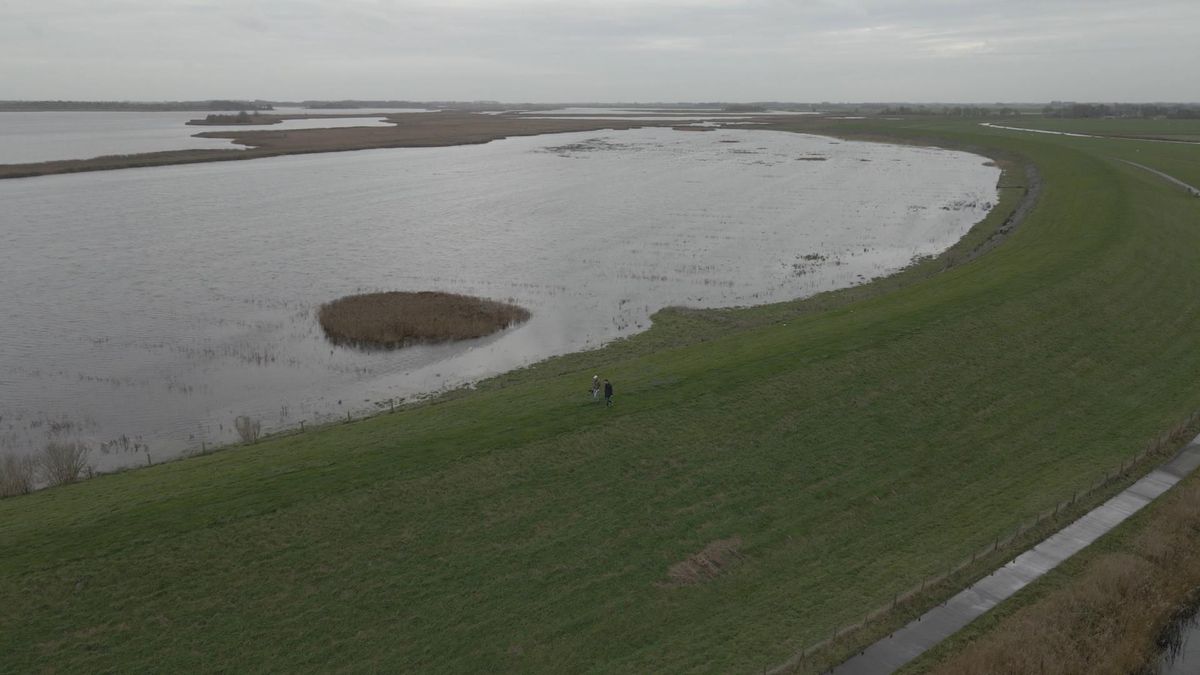 Provincie Groningen mag geen bagger meer storten in Lauwersmeer