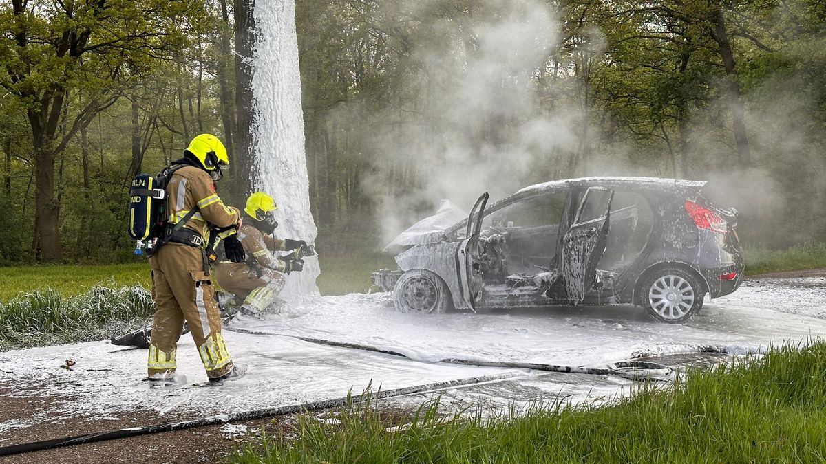 Auto vliegt in brand na botsing tegen boom