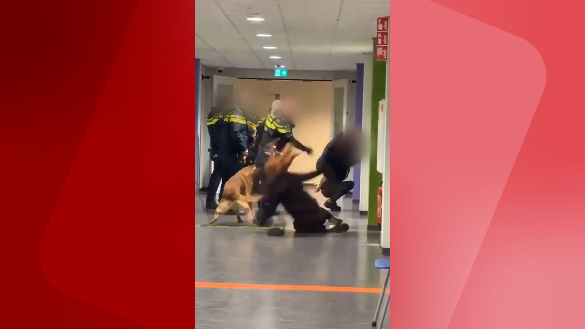 VIDEO: Politie onderzoekt aanhouding met geweld
