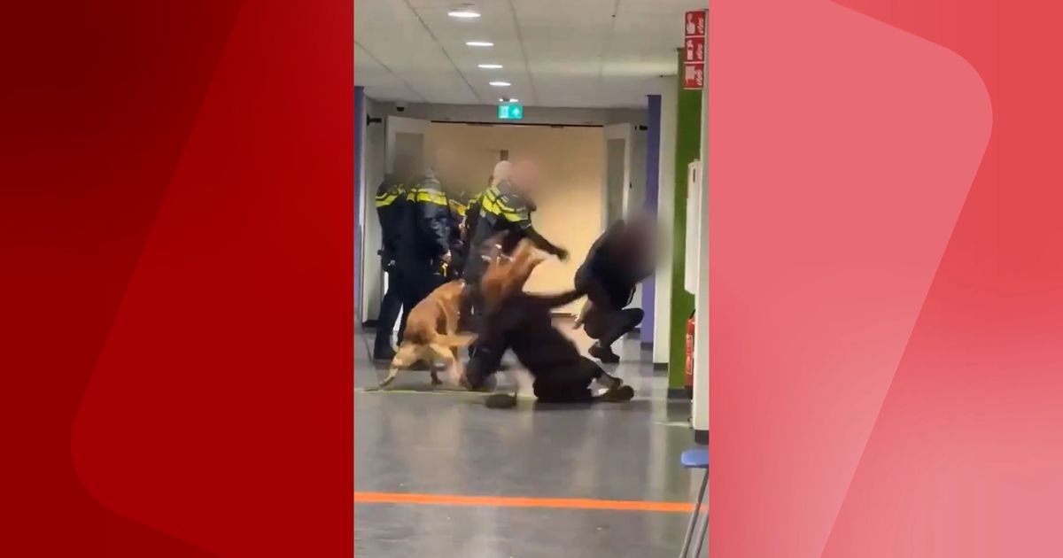 www.rtvutrecht.nl