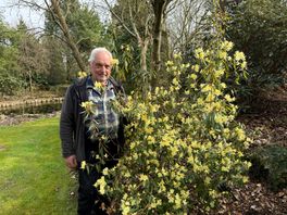 Van zaadje tot wereldtuin: Wiecher bouwde een paradijs in Gasselte