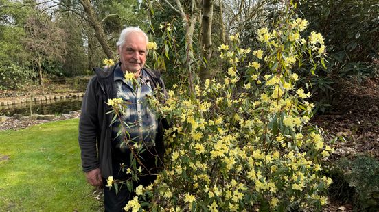 Van zaadje tot wereldtuin: Wiecher bouwde een paradijs in Gasselte Nieuws