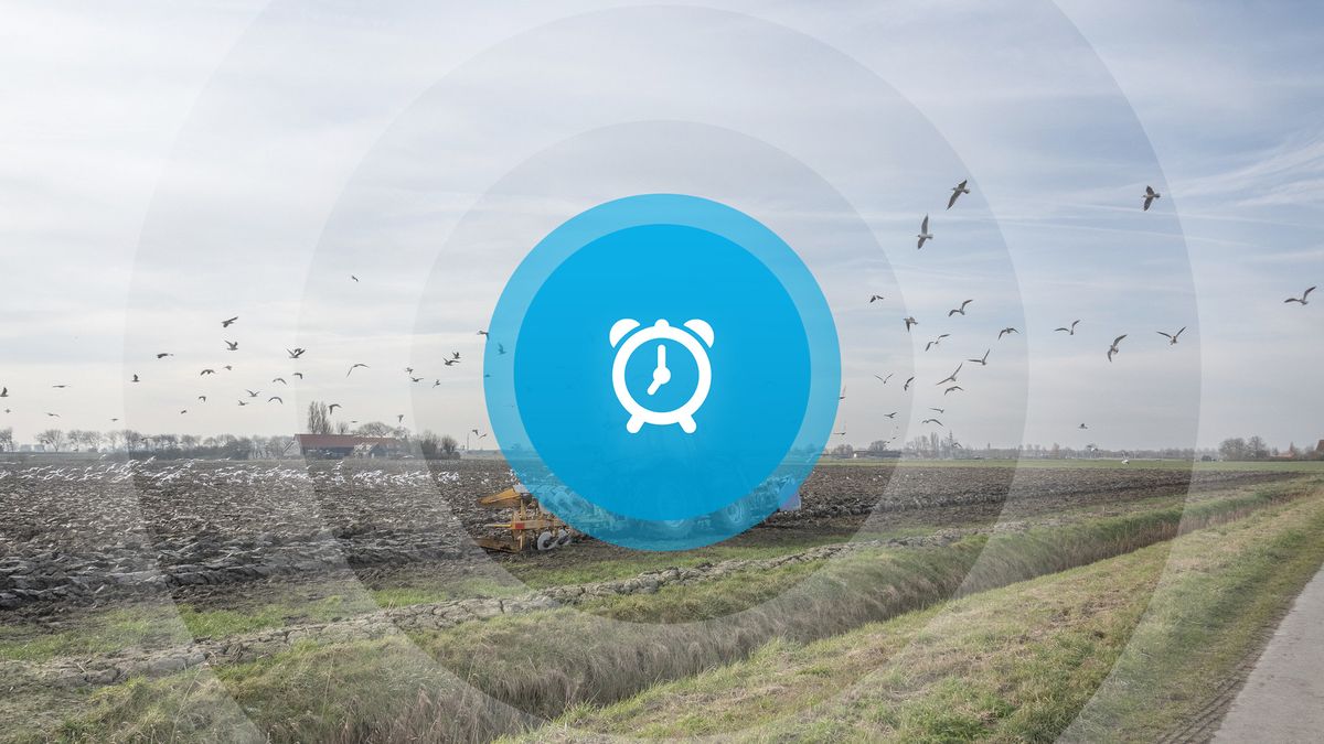 Goedemorgen! Kunstschat Aagtekerke, vinvisbot gevonden en open luchtcollege UCR