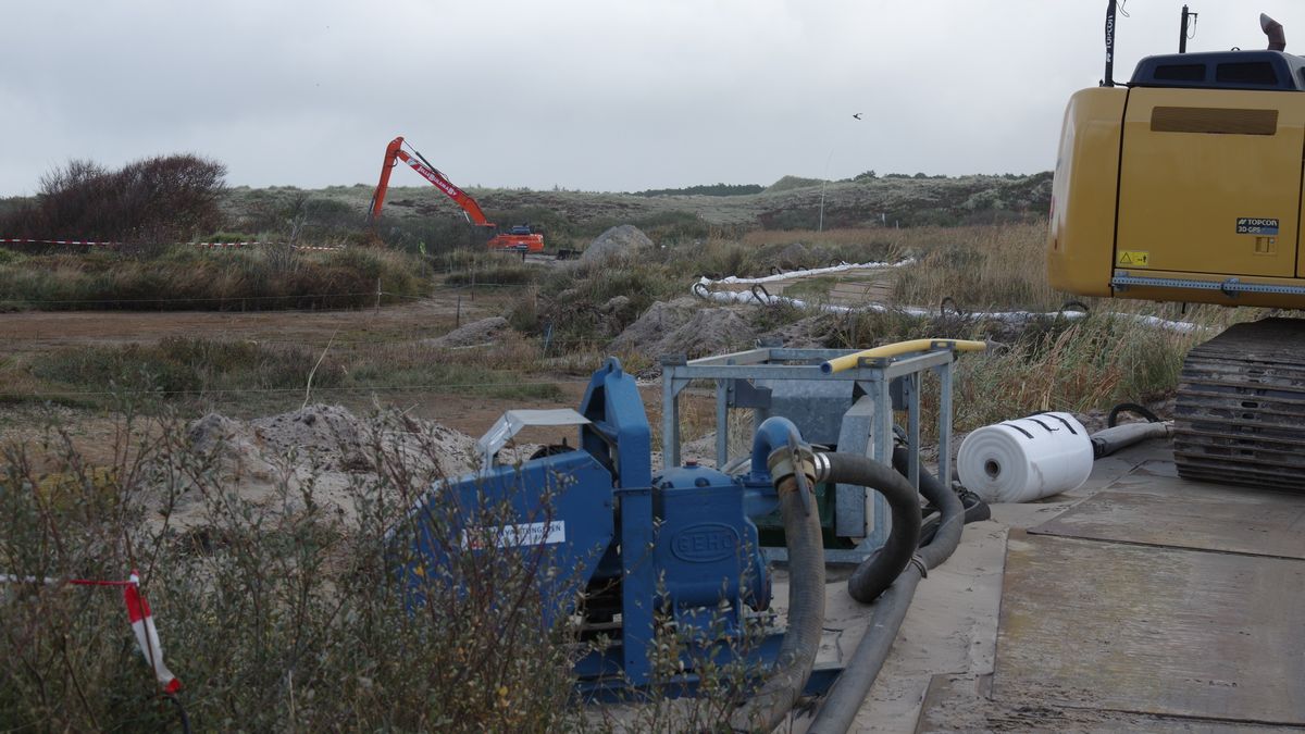 Aanpak watercrassula op Terschelling gaat een nieuwe fase in