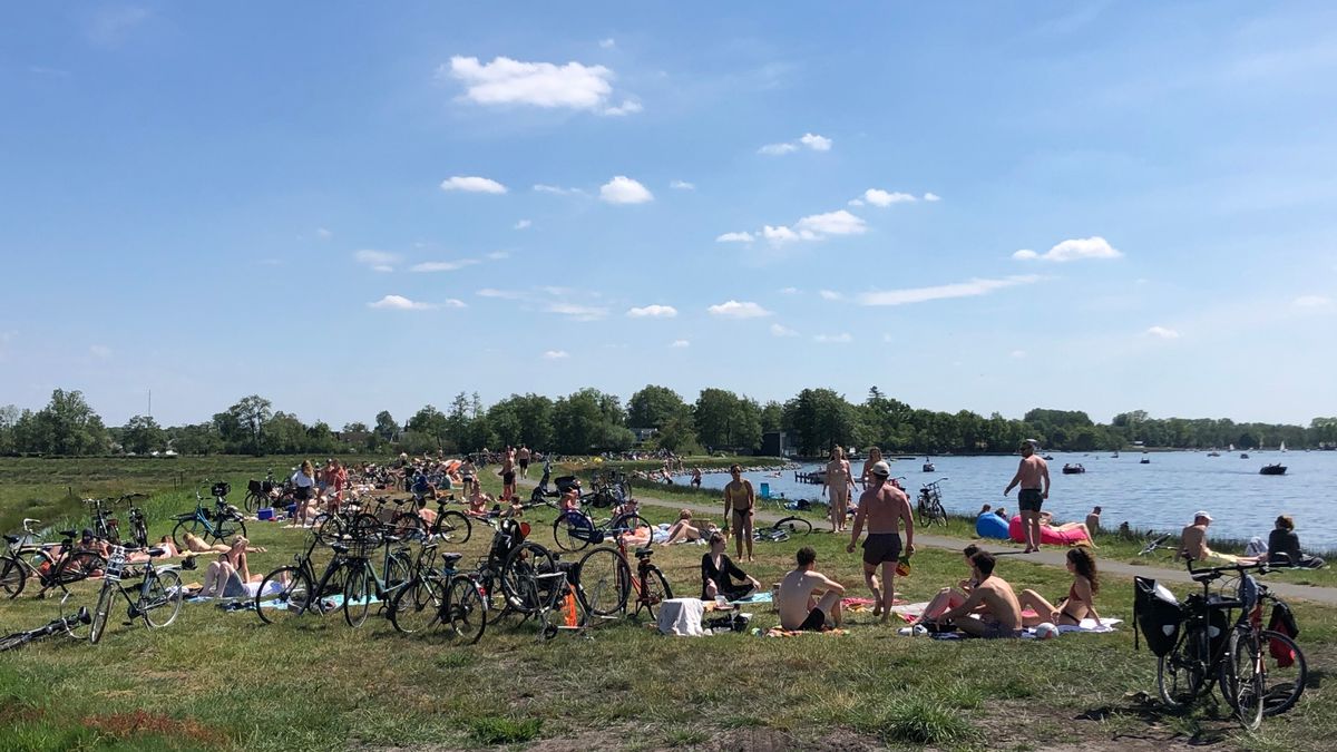 Meerschap Paterswolde is bereid kiosk en wc's af te schermen van Scandinavisch Dorp
