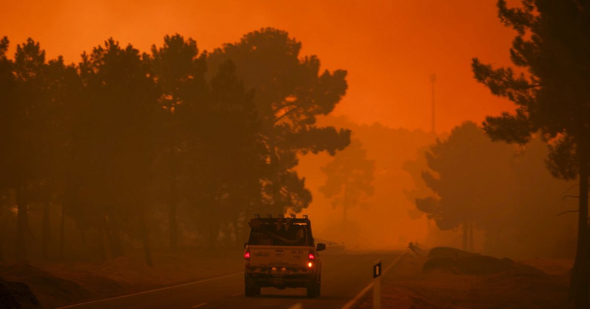 Wildfires in France and Spain: Smoke Reaches Nearby Regions as Rain Brings Hope