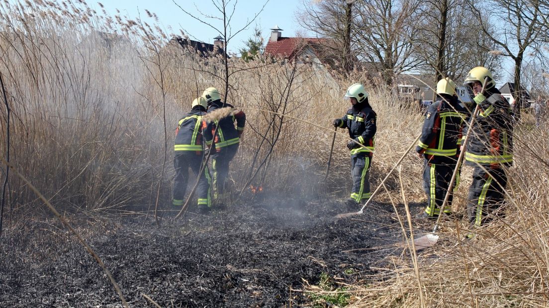 Een rietbrand aan de Wedderweg in Oude Pekela