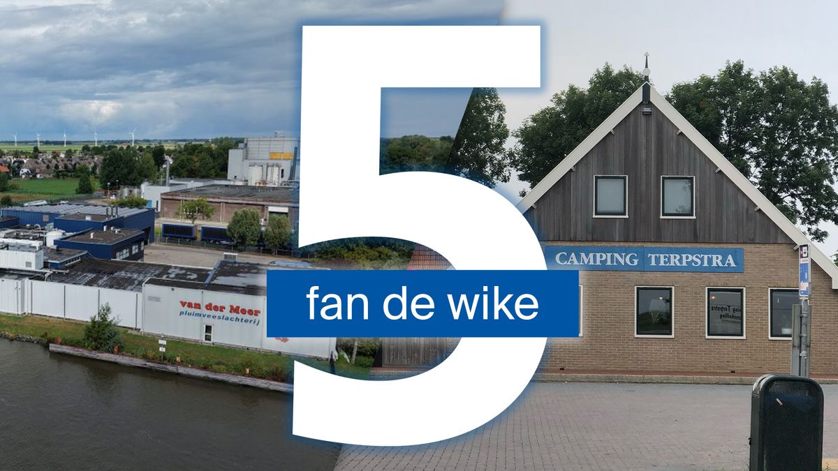 Populaire jongerencamping op Terschelling staat te koop en 45 mensen van bedrijf in Dronryp staan op