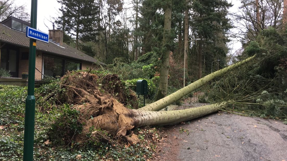 De storm veroorzaakte veel problemen in Gelderland. Het treinverkeer ligt nog steeds plat, NS adviseert om een alternatieve reismethode te zoeken.