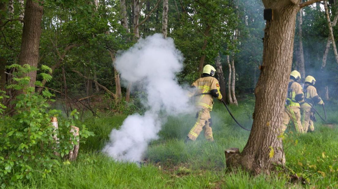 Brandweer blust natuurbrandjes in Losser