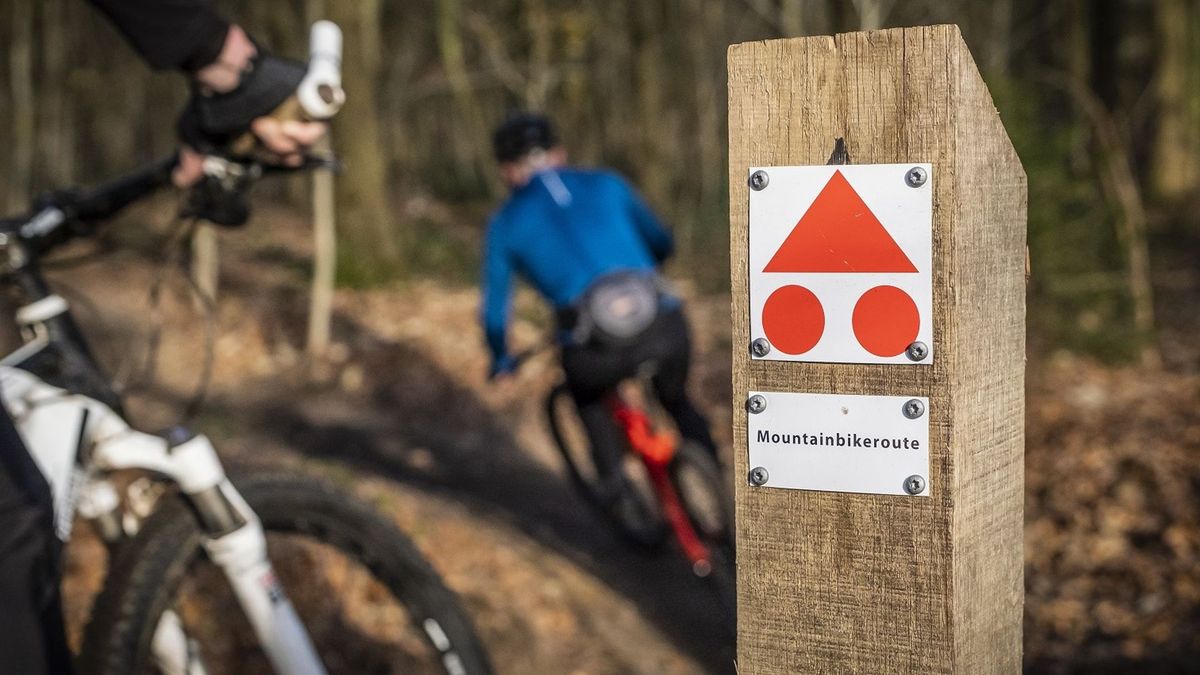 Wat is er dit weekend te