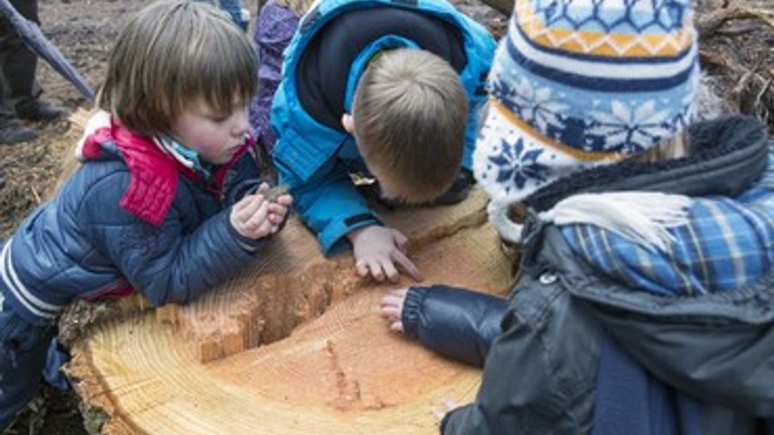 Het is de week van het Landschap en dus volop activiteiten in de Gelderse natuur. Geldersch Landschap & Kasteelen en Landschapsbeheer Gelderland hebben een vol programma met activiteiten voor jong en oud. Van brunches tot aan knutselmiddagen. Hier vindt u een overzicht van de activiteiten: