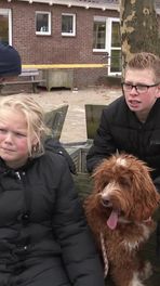 Succes met labradoodle Pelle