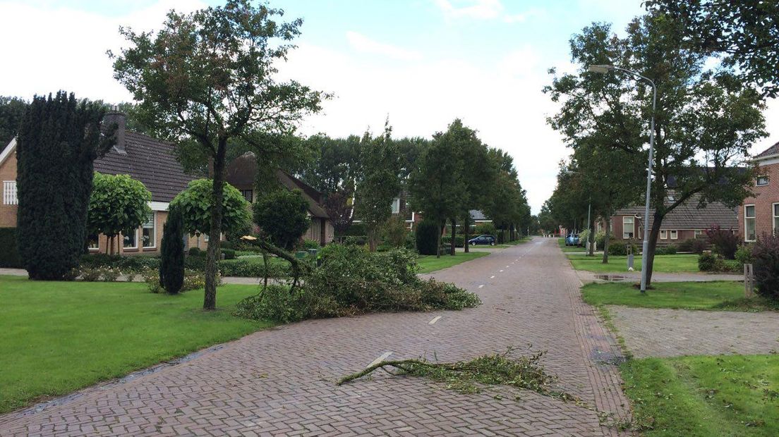 In Buinerveen liggen er takken op de weg door de storm (Rechten: Steven Stegen)