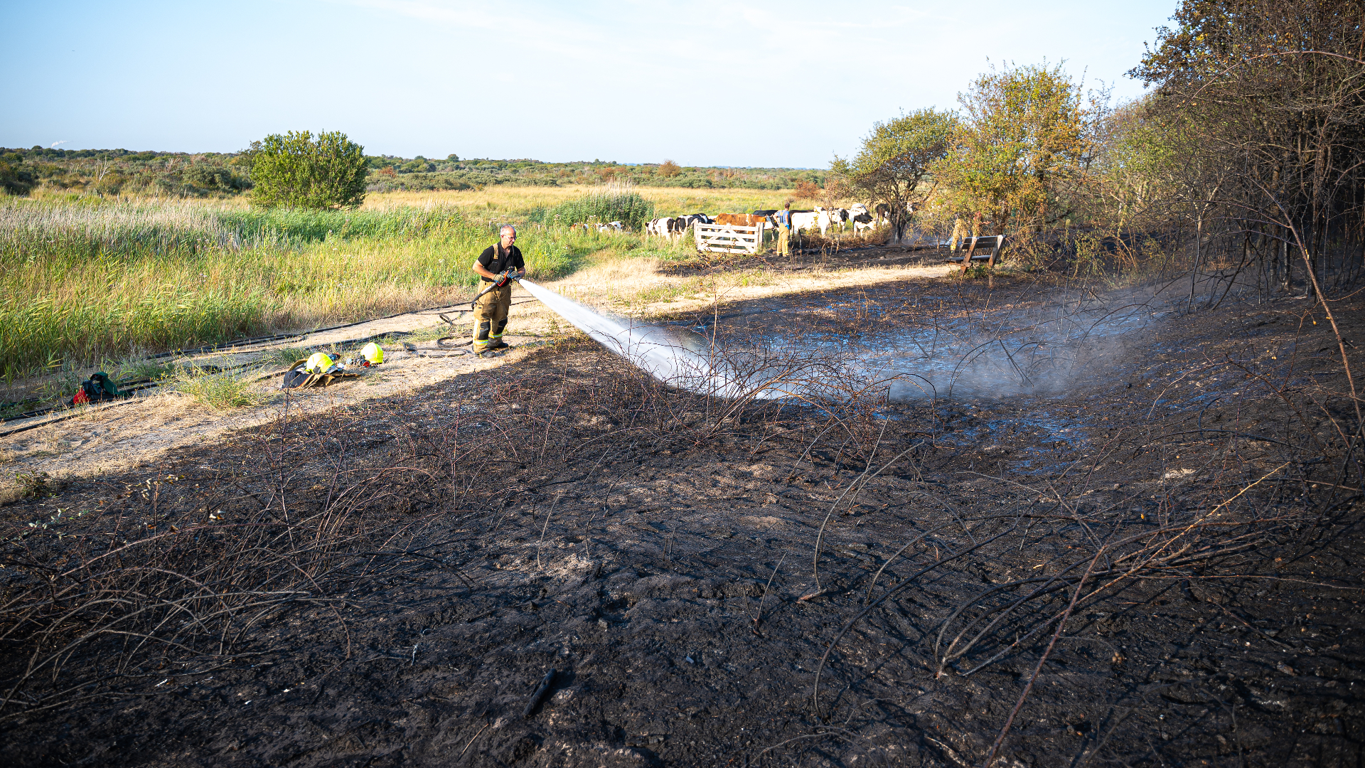 Zo'n 2000 vierkante meter is verbrand in de duinen van Goedereede.